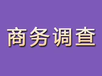 普定商务调查